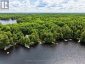 1007 LEECH LAKE POINT ROAD, Bracebridge (oakley), Ontario, P1L1X3 (ID X13494178)