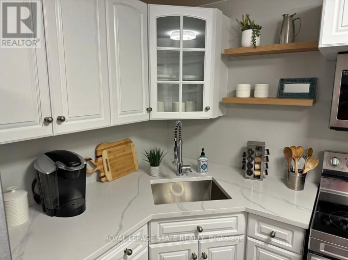 BASEMENT - 348 SPRINGBROOK AVENUE, Hamilton (Ancaster), Ontario, L9K0K3