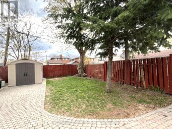 MAIN - 9 ALBRIGHT AVENUE Toronto (Alderwood) Ontario photo 21