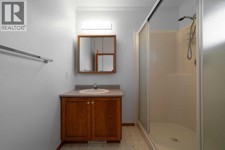 42315 RR153, Rural Flagstaff County, Alberta, T0B1N0