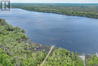 3516 KIRKFIELD ROAD Kawartha Lakes (Carden) Ontario photo 41