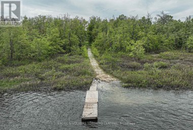 3516 KIRKFIELD ROAD Kawartha Lakes (Carden) Ontario photo 42