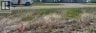 4;27;12;1;SE Highway #2, Claresholm, Alberta, T0l0T0 (ID A2324171)