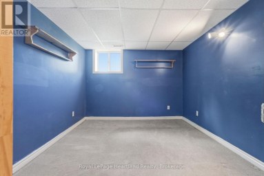 6 BROWN STREET N Minto Ontario photo 27