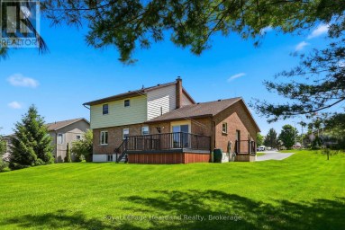 6 BROWN STREET N Minto Ontario photo 38