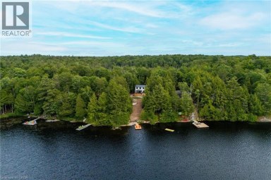 1357 DICKIE LAKE Road Muskoka Lakes Ontario photo 45