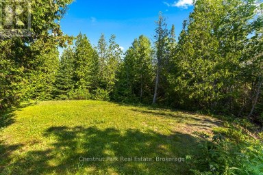 11 EAGLE ROAD Northern Bruce Peninsula Ontario photo 34