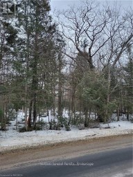 LOT 50 CAPE HURD ROAD Northern Bruce Peninsula Ontario photo 10
