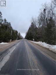 LOT 50 CAPE HURD ROAD Northern Bruce Peninsula Ontario photo 11