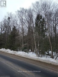 LOT 50 CAPE HURD ROAD Northern Bruce Peninsula Ontario photo 12