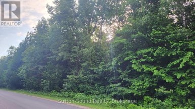 LOT 50 CAPE HURD ROAD Northern Bruce Peninsula Ontario photo 6