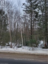 LOT 50 CAPE HURD ROAD Northern Bruce Peninsula Ontario photo 9