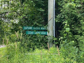 566 CEDAR SMOKE ROAD Georgina Islands (Georgina Island) Ontario photo 13
