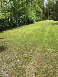 566 CEDAR SMOKE ROAD Georgina Islands (Georgina Island) Ontario photo 4