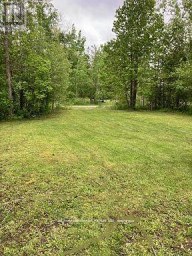 566 CEDAR SMOKE ROAD Georgina Islands (Georgina Island) Ontario photo 7