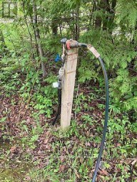 566 CEDAR SMOKE ROAD Georgina Islands (Georgina Island) Ontario photo 9
