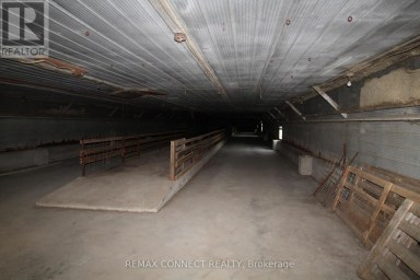 HALF THE BARN ONLY - 10748 MCEWEN DRIVE Middlesex Centre Ontario photo 10