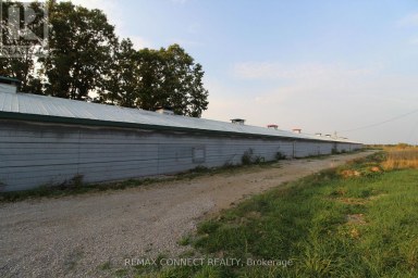 HALF THE BARN ONLY - 10748 MCEWEN DRIVE Middlesex Centre Ontario photo 14