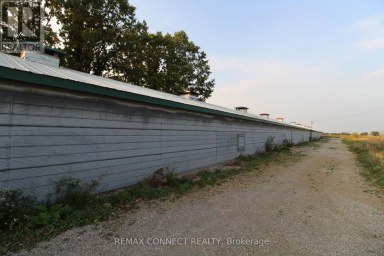HALF THE BARN ONLY - 10748 MCEWEN DRIVE Middlesex Centre Ontario photo 16