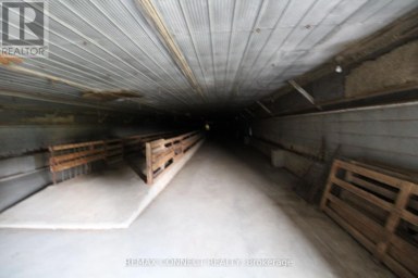 HALF THE BARN ONLY - 10748 MCEWEN DRIVE Middlesex Centre Ontario photo 18