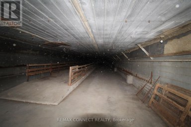 HALF THE BARN ONLY - 10748 MCEWEN DRIVE Middlesex Centre Ontario photo 19
