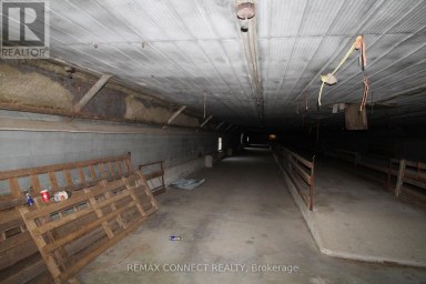 HALF THE BARN ONLY - 10748 MCEWEN DRIVE Middlesex Centre Ontario photo 4