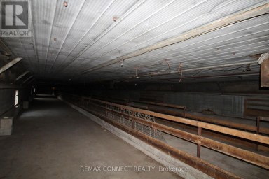 HALF THE BARN ONLY - 10748 MCEWEN DRIVE Middlesex Centre Ontario photo 5