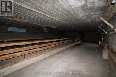 HALF THE BARN ONLY - 10748 MCEWEN DRIVE Middlesex Centre Ontario photo 8