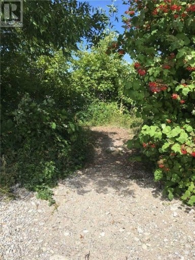 81 BAYSHORE DRIVE, Ramara (Brechin), Ontario, L0K1B0