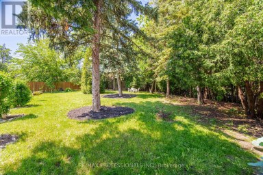 74 RINGWAY CRESCENT Toronto (Elms-Old Rexdale) Ontario photo 38