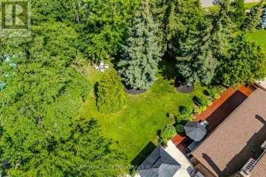 74 RINGWAY CRESCENT Toronto (Elms-Old Rexdale) Ontario photo 44
