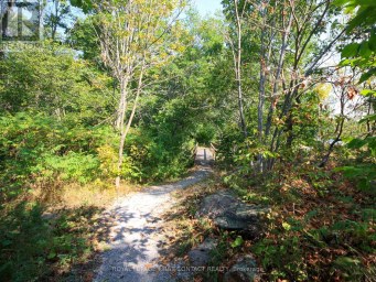 213 BIRCH ACRES DRIVE Georgian Bay (Baxter) Ontario photo 24