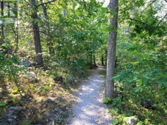 213 BIRCH ACRES DRIVE Georgian Bay (Baxter) Ontario photo 25