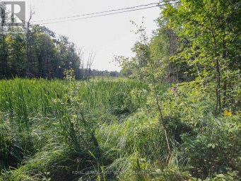 213 BIRCH ACRES DRIVE Georgian Bay (Baxter) Ontario photo 26