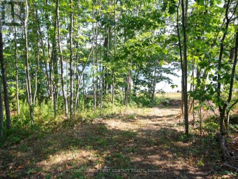 213 BIRCH ACRES DRIVE Georgian Bay (Baxter) Ontario photo 29