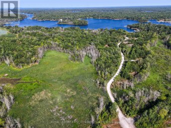 213 BIRCH ACRES DRIVE Georgian Bay (Baxter) Ontario photo 3