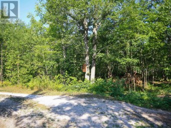 213 BIRCH ACRES DRIVE Georgian Bay (Baxter) Ontario photo 30