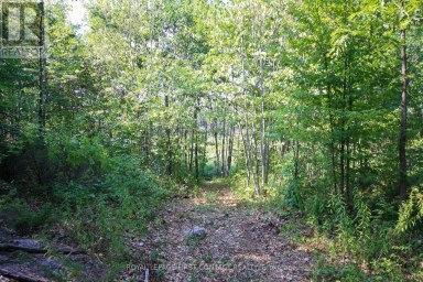 213 BIRCH ACRES DRIVE Georgian Bay (Baxter) Ontario photo 31
