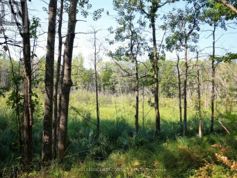 213 BIRCH ACRES DRIVE Georgian Bay (Baxter) Ontario photo 32