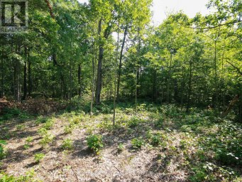 213 BIRCH ACRES DRIVE Georgian Bay (Baxter) Ontario photo 34