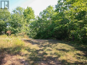 213 BIRCH ACRES DRIVE Georgian Bay (Baxter) Ontario photo 36