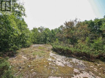 213 BIRCH ACRES DRIVE Georgian Bay (Baxter) Ontario photo 38