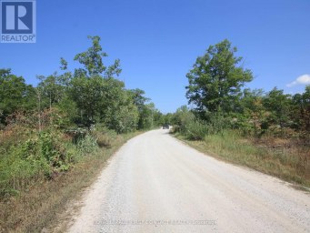 213 BIRCH ACRES DRIVE Georgian Bay (Baxter) Ontario photo 39