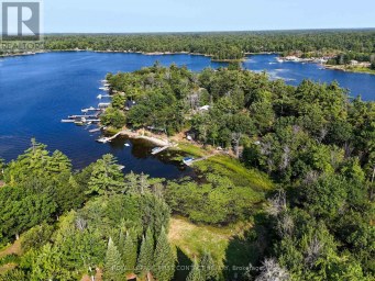 213 BIRCH ACRES DRIVE Georgian Bay (Baxter) Ontario photo 4