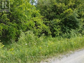 LOT 78 SOUTH MOUNTAIN ROAD Kawartha Lakes (Bexley) Ontario photo 10