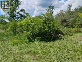LOT 78 SOUTH MOUNTAIN ROAD Kawartha Lakes (Bexley) Ontario photo 4