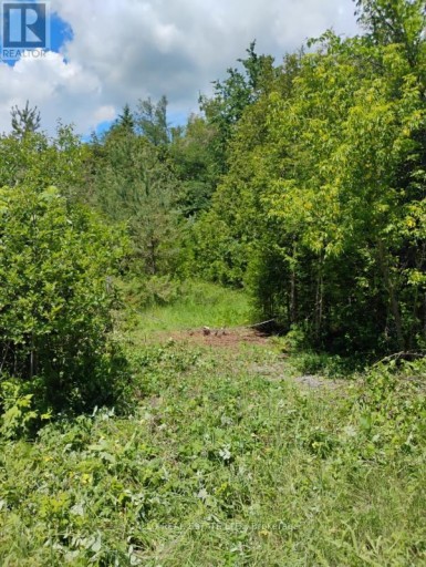 LOT 78 SOUTH MOUNTAIN ROAD, Kawartha Lakes (Bexley), Ontario, K0M2B0