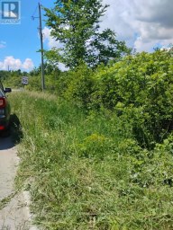 LOT 78 SOUTH MOUNTAIN ROAD Kawartha Lakes (Bexley) Ontario photo 7