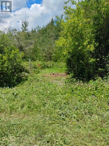 LOT 78 SOUTH MOUNTAIN ROAD, Kawartha Lakes (Bexley), Ontario, K0M2B0