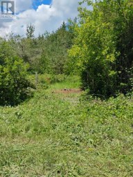 LOT 78 SOUTH MOUNTAIN ROAD Kawartha Lakes (Bexley) Ontario photo 8